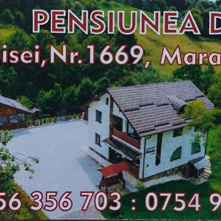 Pensiunea Diana Moisei Exterior foto