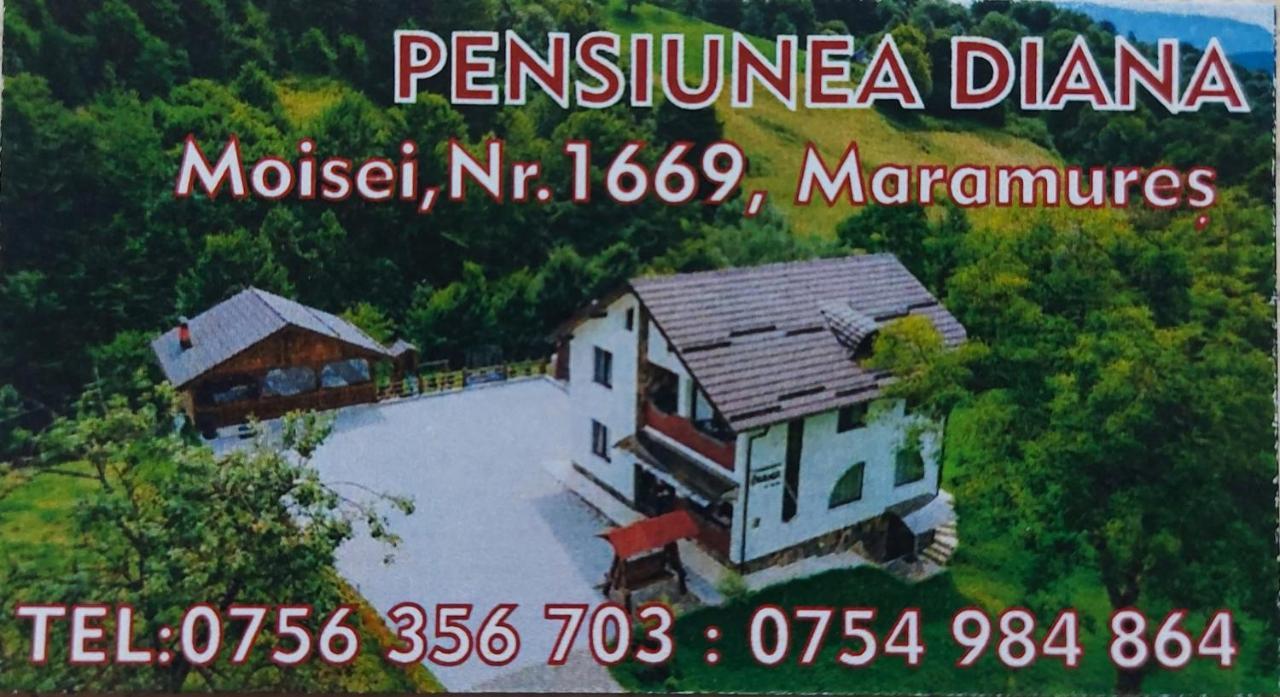 Pensiunea Diana Moisei Exterior foto